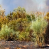 Dos incendios afectan a Valdebótoa y Gévora este domingo