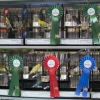 Galería del concurso de canarios