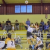 Imágenes del Pacense Voleibol - Arona Paradise Park