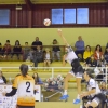 Imágenes del Pacense Voleibol - Arona Paradise Park