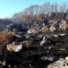 Emplean tres horas en extinguir un incendio en Valencia de Alcántara