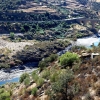 El estado del río Tajo empeora por momentos