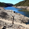 El estado del río Tajo empeora por momentos