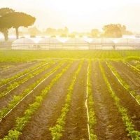 Agricultura abona a 33.166 perceptores el pago básico de la PAC