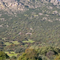 Trasladado al hospital tras precipitarse en la Sierra de San Serván