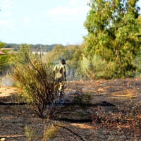 Dos incendios afectan a Valdebótoa y Gévora este domingo