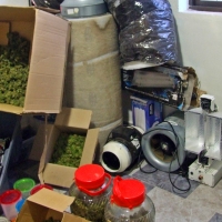 Cuatro nuevos detenidos en Extremadura por cultivo y elaboración de drogas