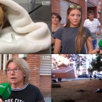 Perros envenenados, entre los grandes problemas de Suerte de Saavedra