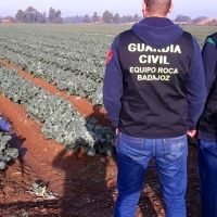 Investigados dos pacenses por robos en explotaciones agrícolas de Badajoz, La Albuera y Talavera