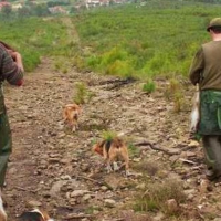 Un herido por arma de fuego mientras cazaban en Barcarrota