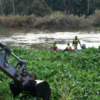 La UME vuelve al río Guadiana