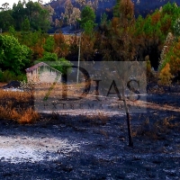 Los bomberos forestales extremeños intervienen en 7 incendios