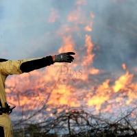 Los bomberos de Badajoz actúan en un incendio cercano a la autovía A-5