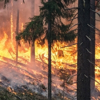 Comienza la época de riesgo medio de incendios, que durará hasta el domingo