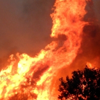 Baja el riesgo de incendios gracias a las recientes lluvias en Extremadura