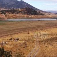 La lluvia no frena los efectos de la sequía en Extremadura