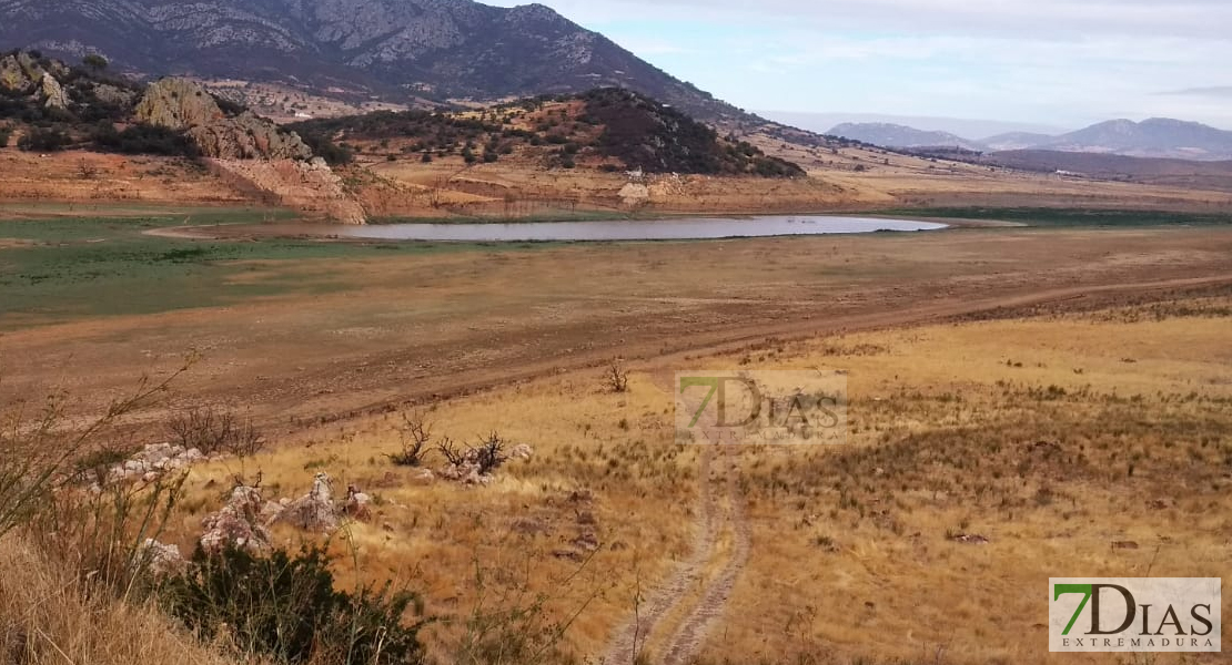 La lluvia no frena los efectos de la sequía en Extremadura