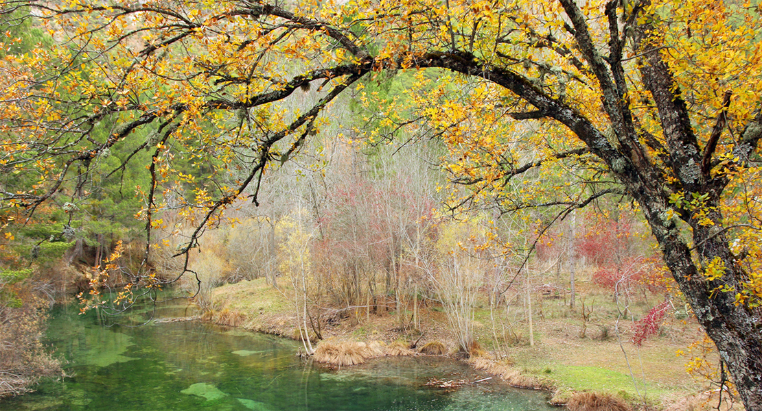 El Tajo, bajo el objetivo de la cámara en el I Concurso &#39;Miradas al Tajo y su cuenca&#39;