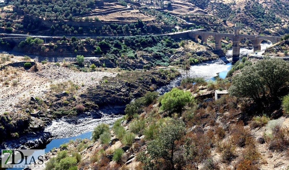 El estado del río Tajo empeora por momentos