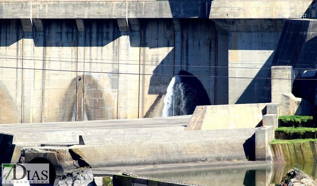 El estado del río Tajo empeora por momentos