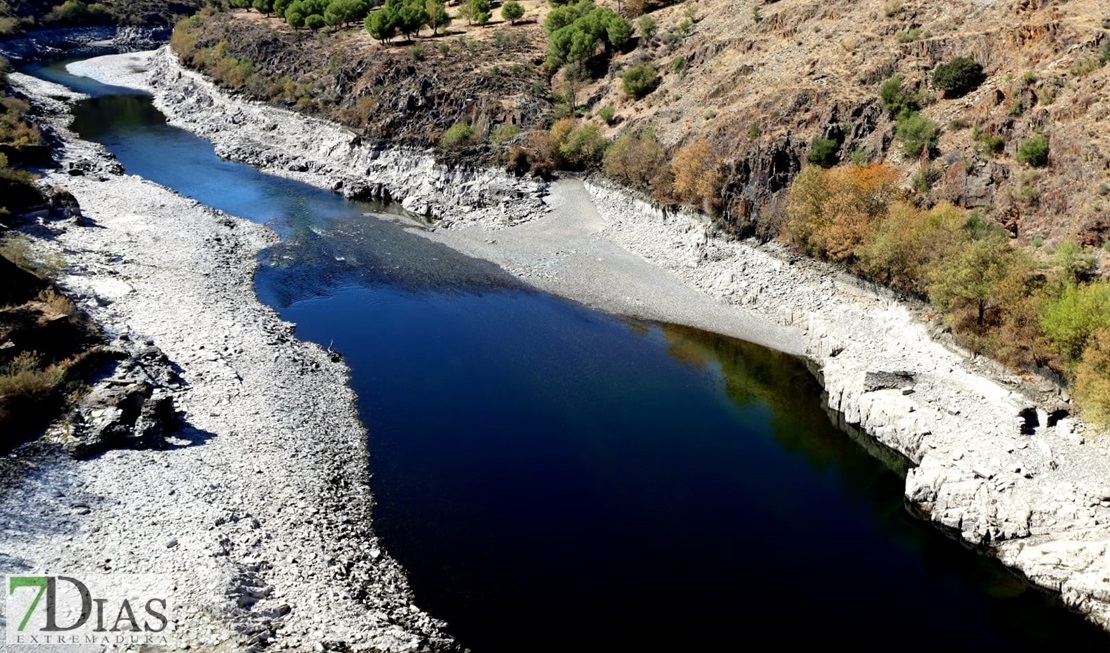 El estado del río Tajo empeora por momentos