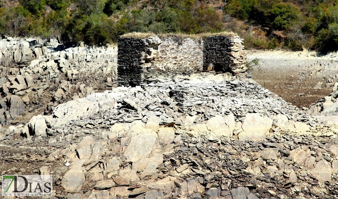 El estado del río Tajo empeora por momentos