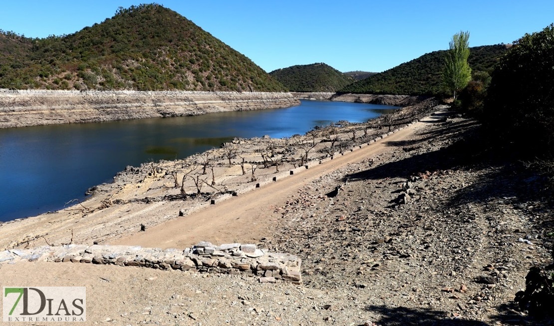 El estado del río Tajo empeora por momentos