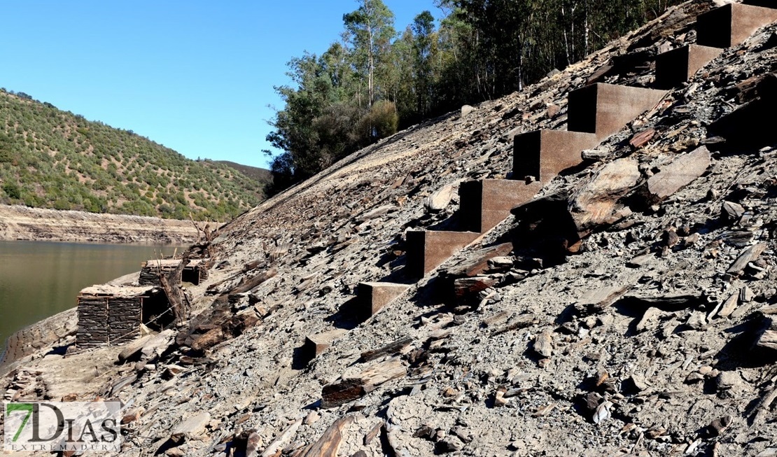 El estado del río Tajo empeora por momentos