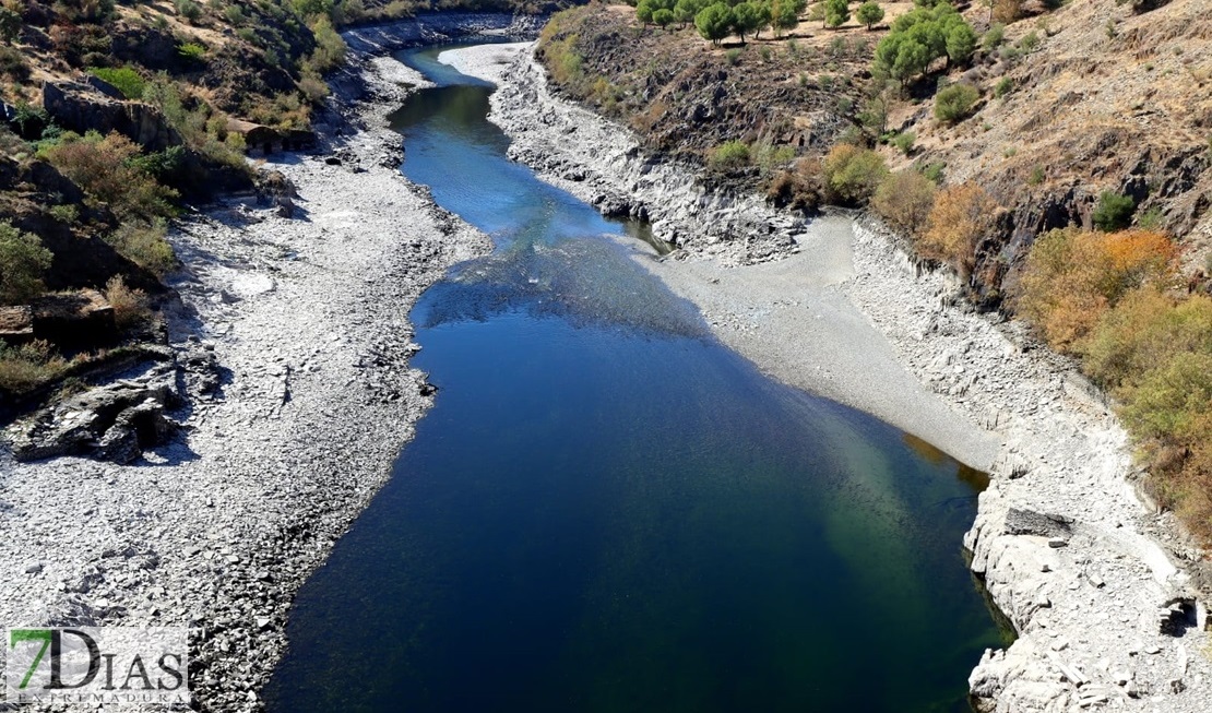 El estado del río Tajo empeora por momentos