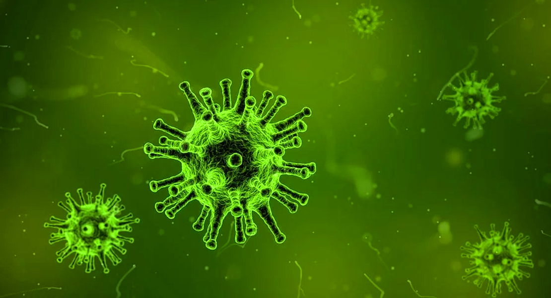 Investigan un virus que podría acabar con todos los tipos de cáncer
