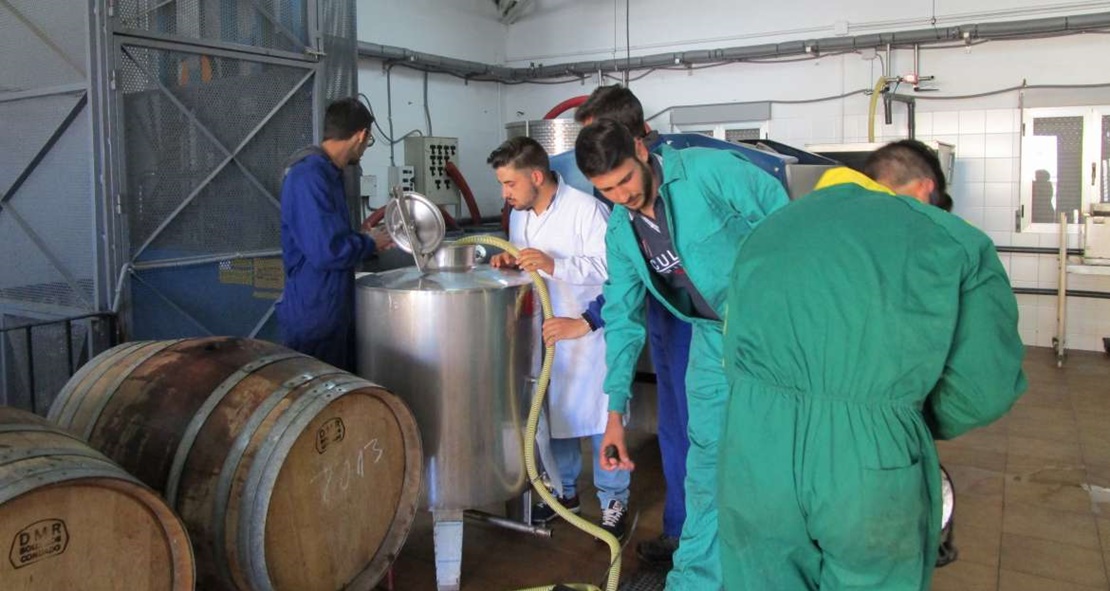 Agricultura abona 4,3 millones de euros a jóvenes agricultores como anticipo del pago básico