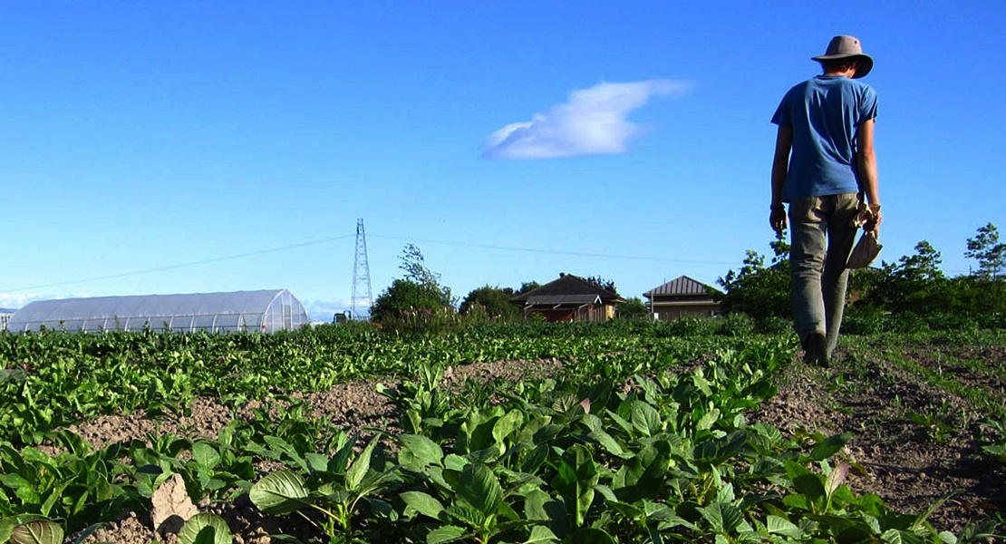 APAG Asaja denuncia la pérdida de potencial vinícola que está sufriendo Extremadura y España