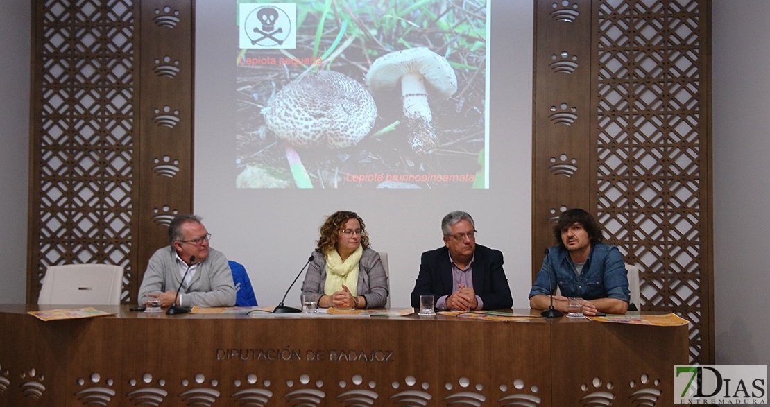 Monesterio celebrará la XIV Jornada Micológica