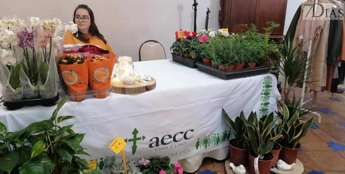 El parador de Mérida acoge el mercadillo solidario con el cáncer