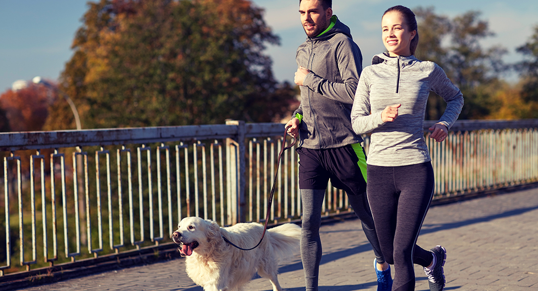 La II San Silvestre Solidaria Universitaria incluye una modalidad para realizar el recorrido con tu mascota