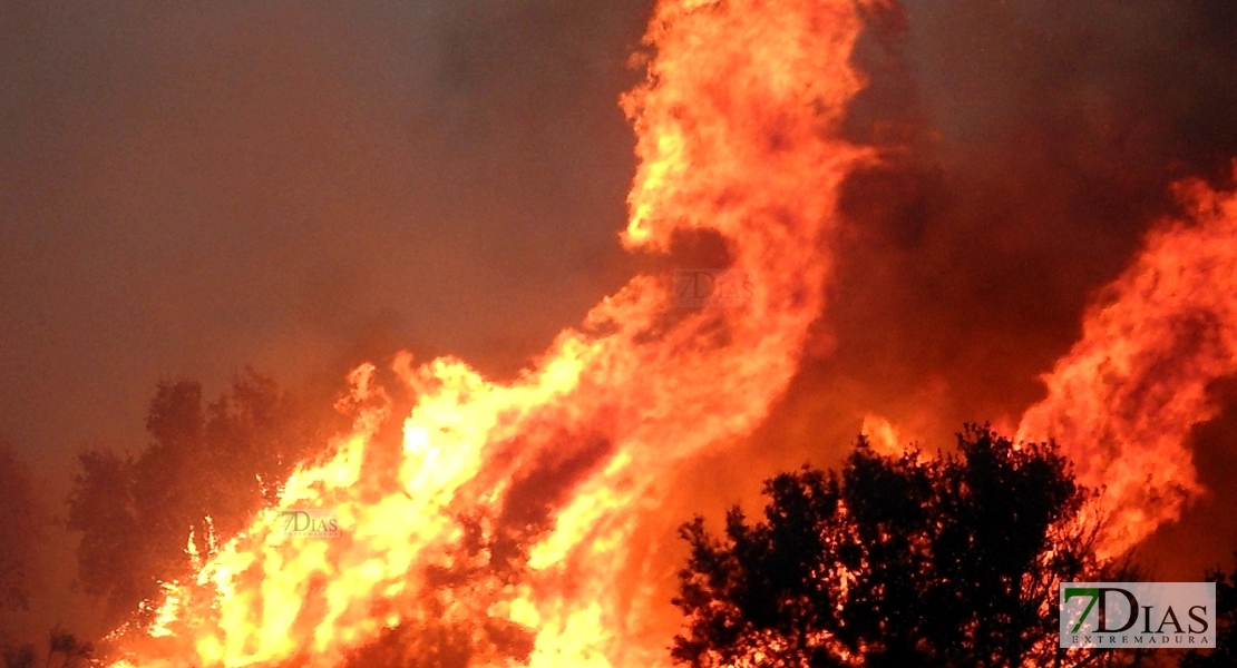 La superficie afectada por incendio este verano en Extremadura, “muy por debajo de la media”