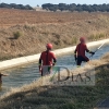 Los bomberos rescatan a un animal del canal de Montijo (Badajoz)