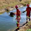 Los bomberos rescatan a un animal del canal de Montijo (Badajoz)