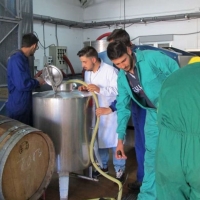 Agricultura abona 4,3 millones de euros a jóvenes agricultores como anticipo del pago básico