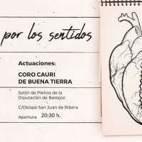 &#39;Música por los sentidos&#39; ofrece un concierto en la Diputación con motivo del Día de la Discapacidad