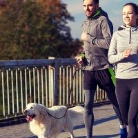 La II San Silvestre solidaria universitaria incluirá a mascotas