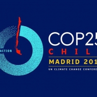 COP25: una cita ineludible para el ecologismo y la sociedad civil