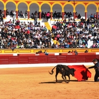 Extremadura, quinta comunidad que más festejos taurinos celebra