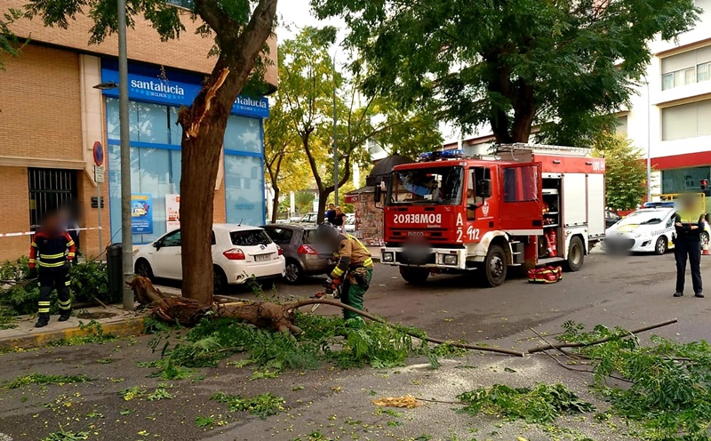 Una rama de grandes dimensiones corta el tráfico de una calle en Badajoz