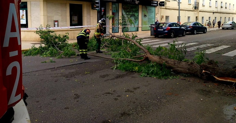 Una rama de grandes dimensiones corta el tráfico de una calle en Badajoz