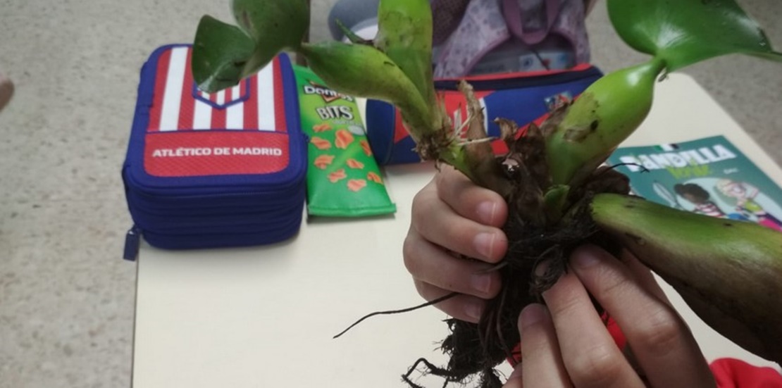 Talleres educativos sobre la invasión del camalote en el río Gudiana