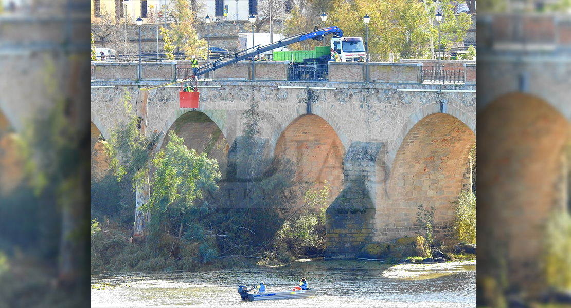 Operarios realizan labores de deforestación en el Puente Viejo de Badajoz