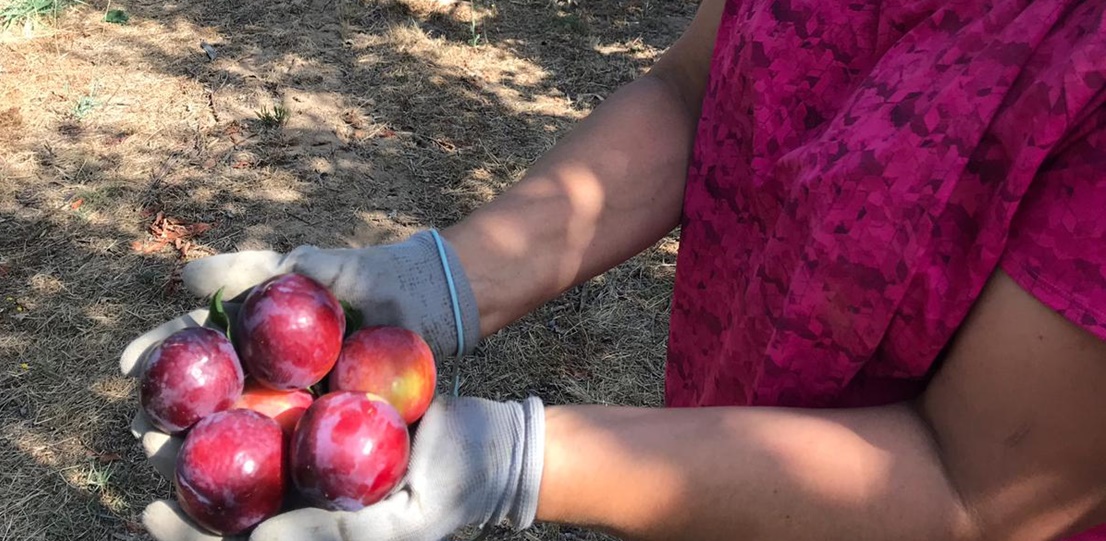 Upa alerta: “La caída de la renta agraria refleja la crítica situación del campo”