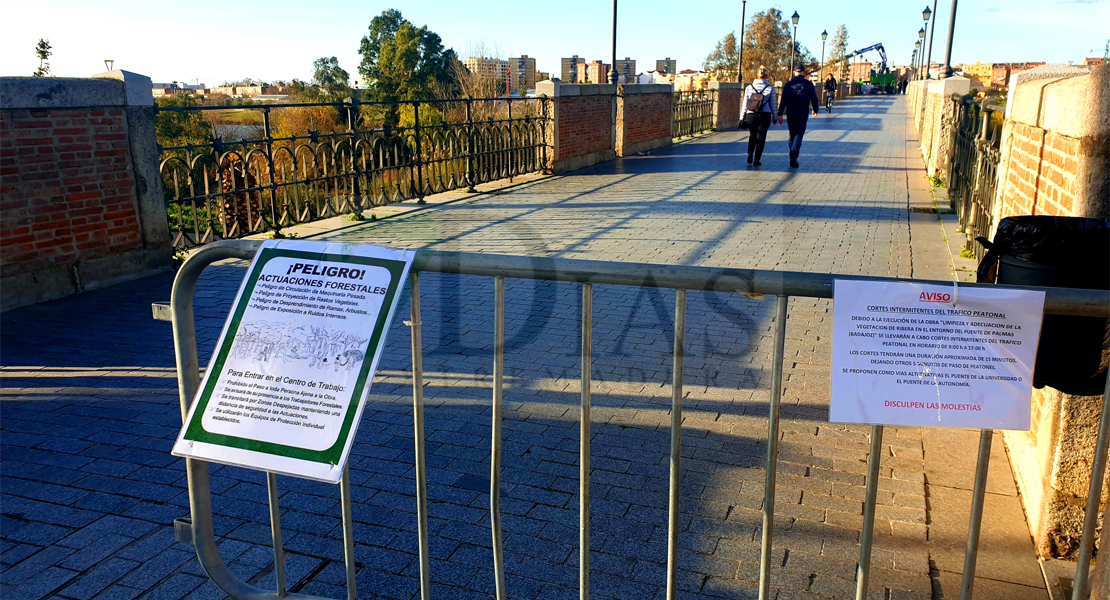 Operarios realizan labores de deforestación en el Puente Viejo de Badajoz