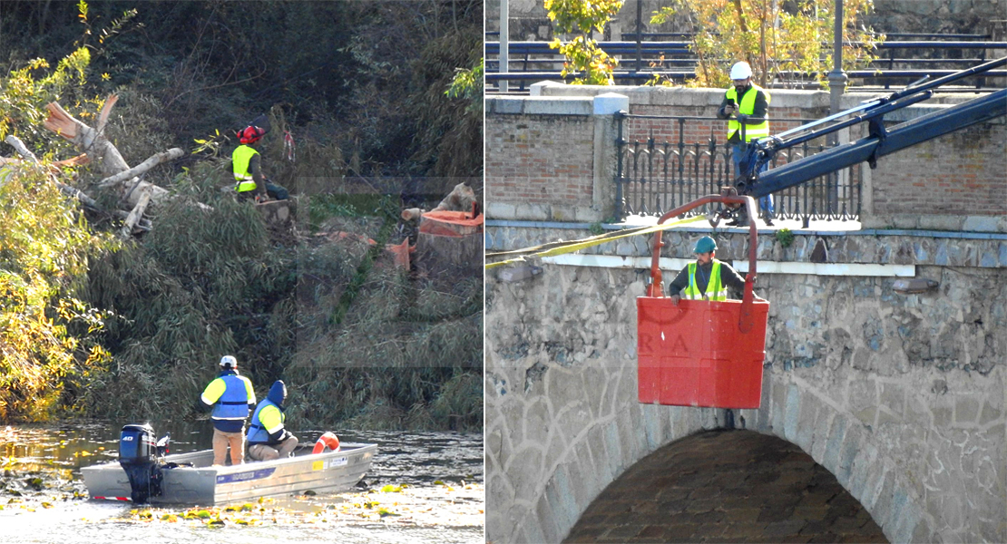 Operarios realizan labores de deforestación en el Puente Viejo de Badajoz